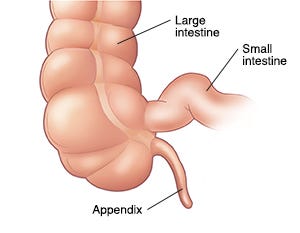When Your Child Has Appendicitis | Saint Luke's Health System