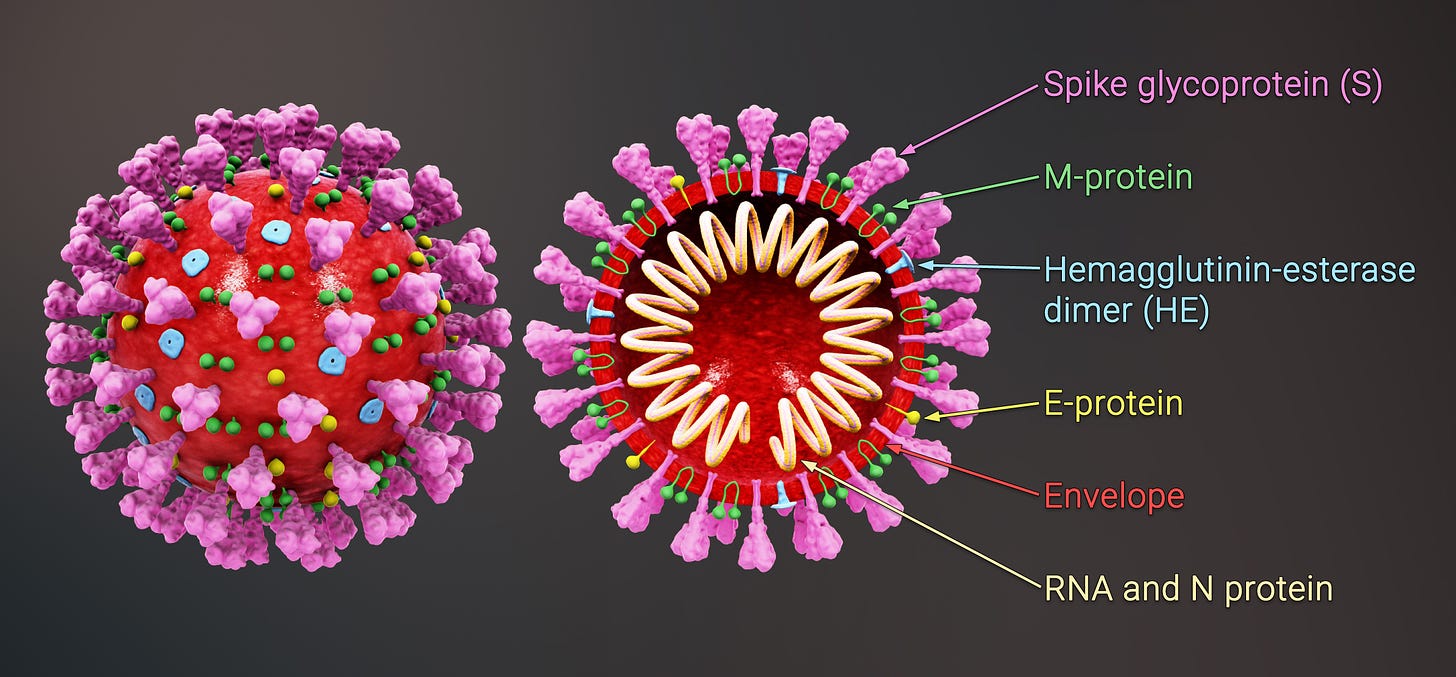 File:3D medical animation coronavirus structure.jpg - Wikimedia Commons