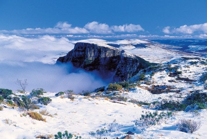 São-Joaquim-National-Park-Santa-Catarina