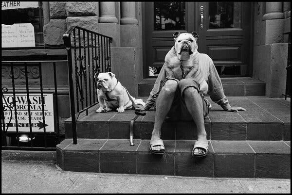 Elliott Erwitt, Whose Photos Are Famous, and Often Funny, Dies at 95 - The  New York Times