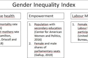 Dimensions and indicators of the Gender Inequality Index.