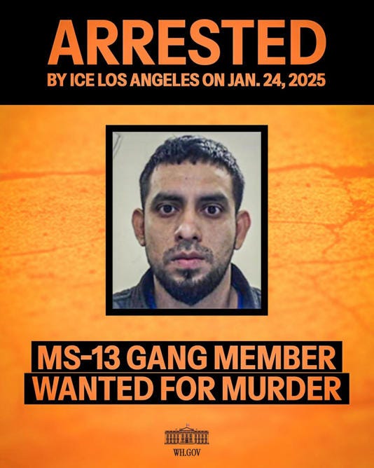 An unnamed MS-13 gang member from El Salvador wanted for aggravated homicide with a Red Notice was arrested by ICE Los Angeles on Jan. 24. White House