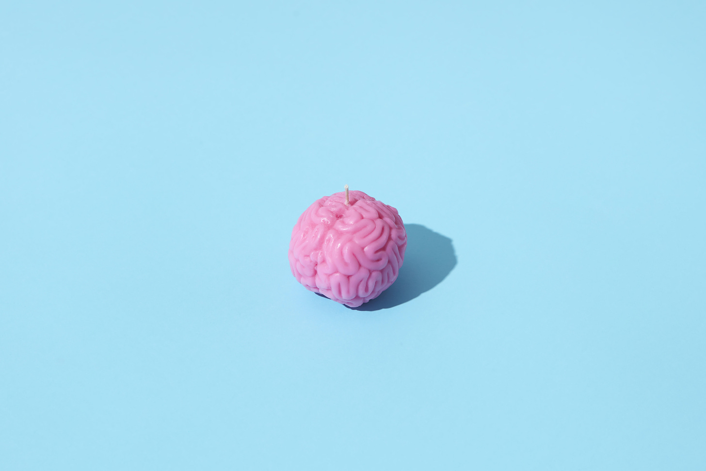 A pink plastic brain on a blue background