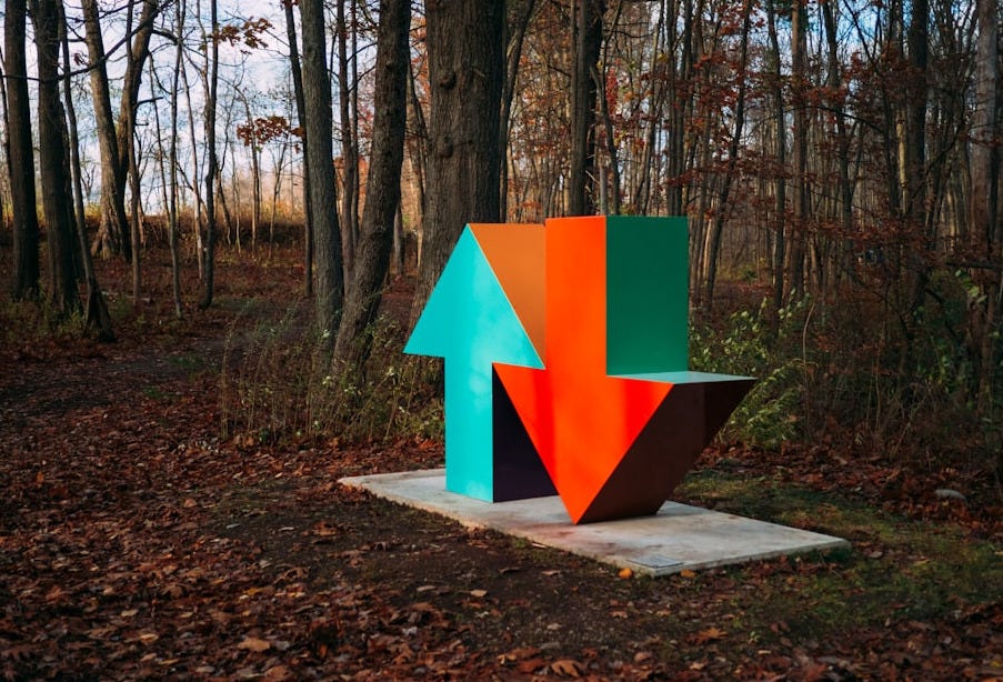 red and blue arrow sign surrounded by brown trees