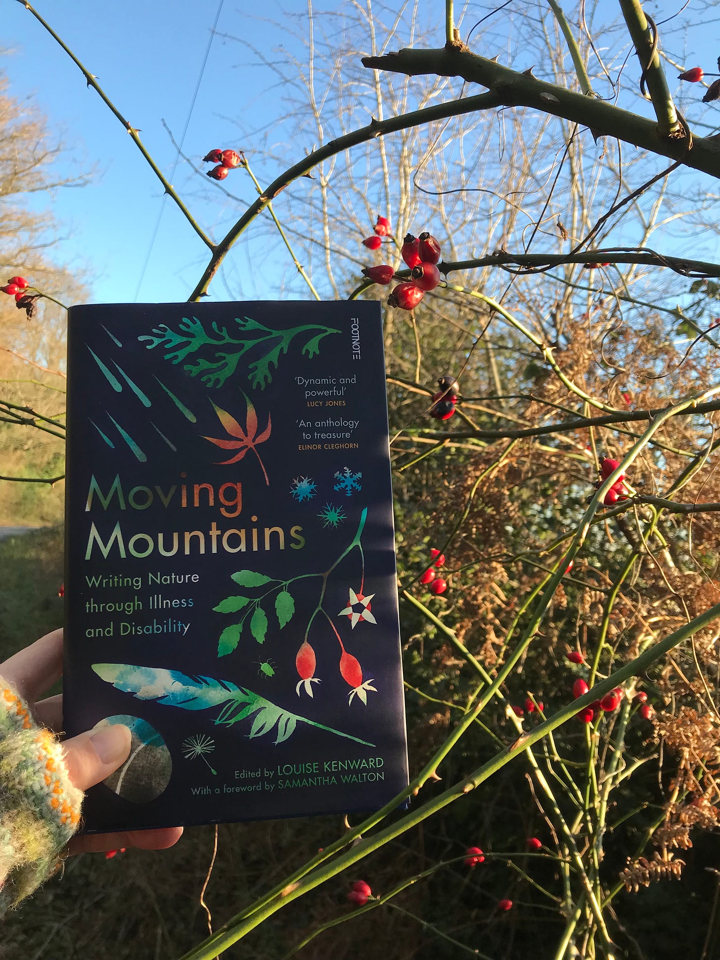 Moving Mountains held up in front of hedgerow with rosehips and blue skies.