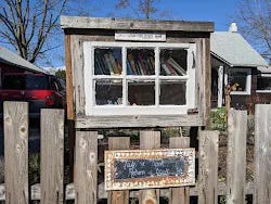one of countless little free libraries