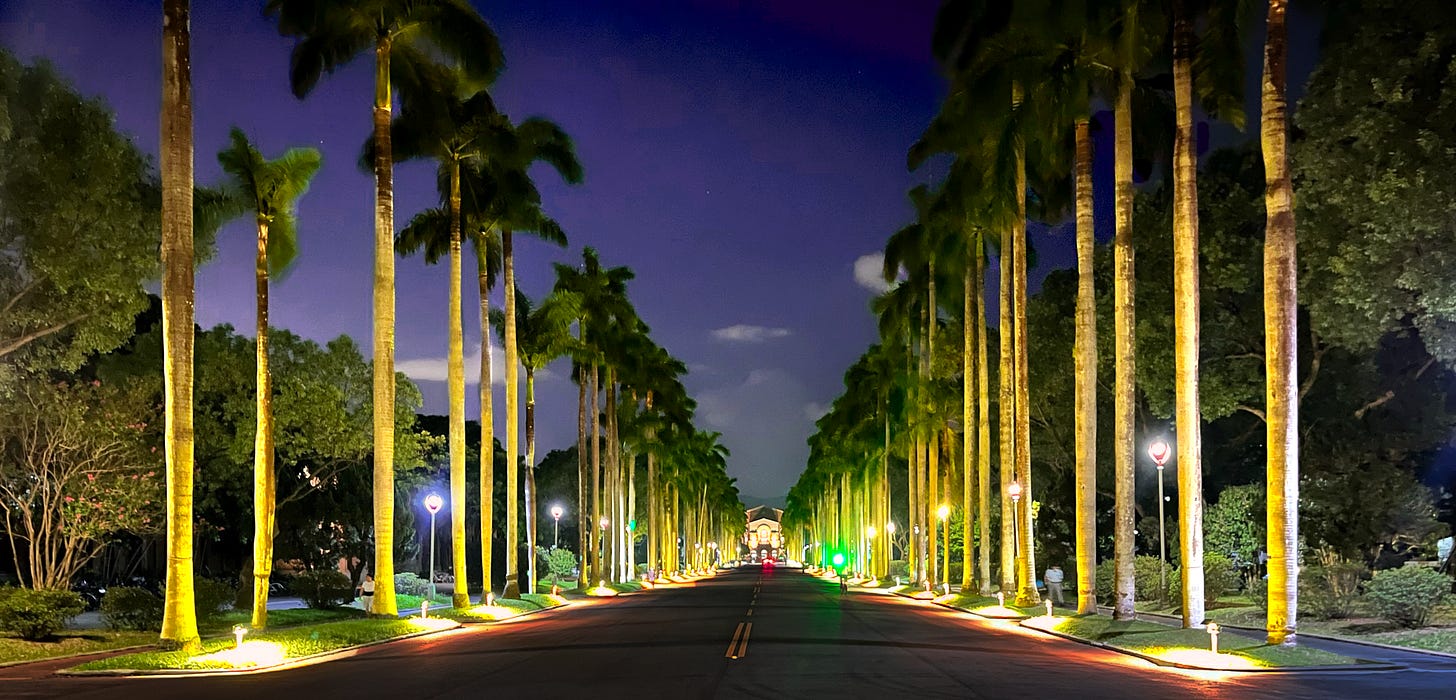 The main entrance to National Taiwan University at night, with palm trees lining the main drive