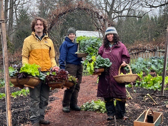 Horticulturalist Noah Meanix (left) helps to harvest lettuce and mustard greens in the Vegetable Garden at Chanticleer. Photo by Lisa Roper