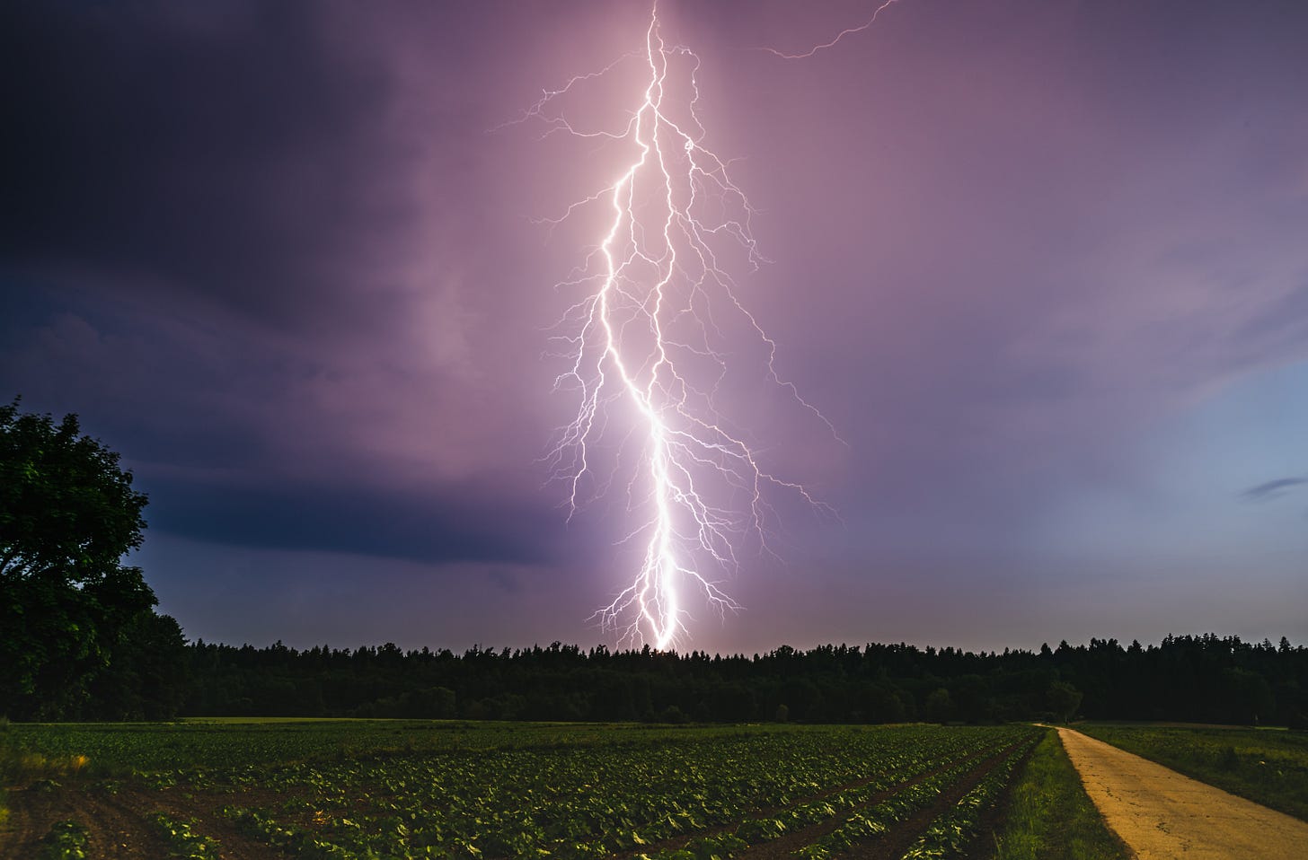 A Pandemia e o Ambiente Rural