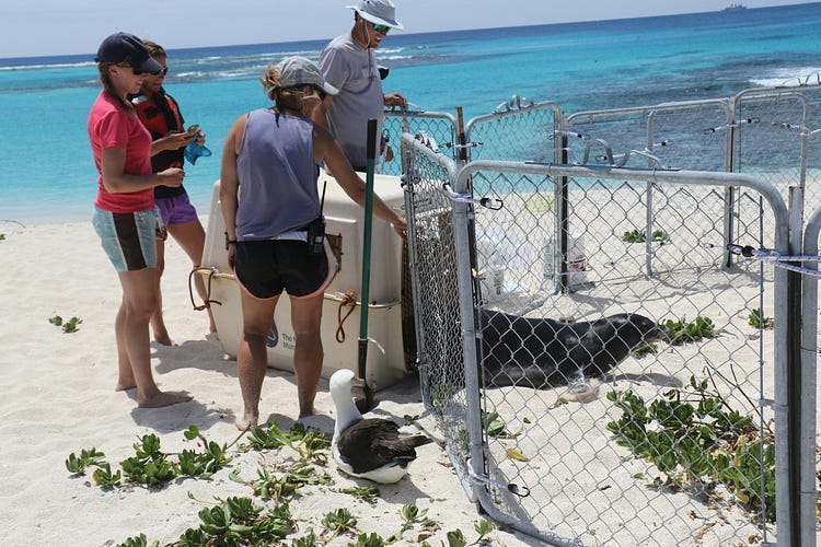 Biologists on the beach.