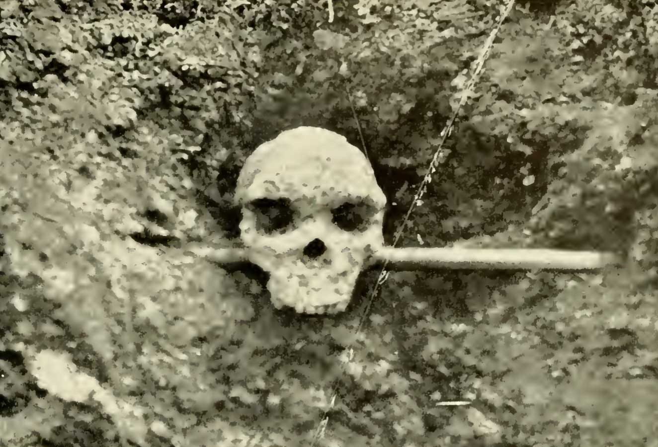 The Kabwe skull, encrusted in minerals, propped on a pick handle next to the earth from which it was dug. Black and white photo with crack. The Kabwe skull, encrusted in minerals, propped on a pick handle next to the earth from which it was dug. Black and white photo with crack.