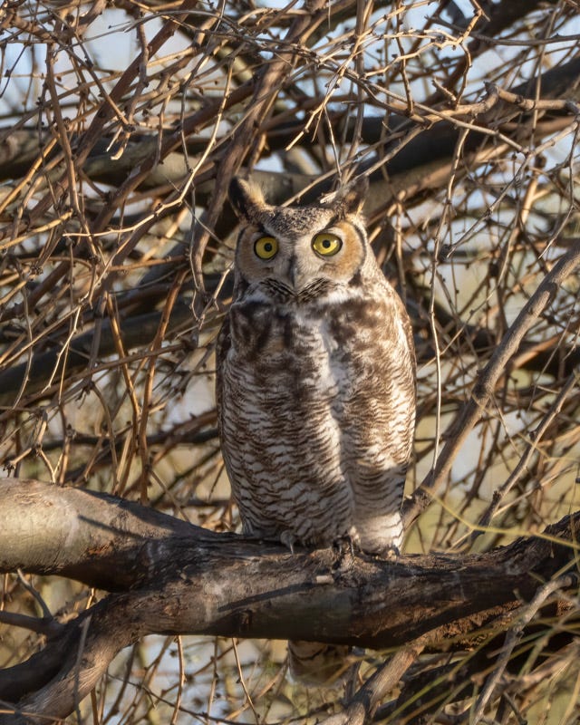 20250219-ManvilleFarm-403-Edit.jpg