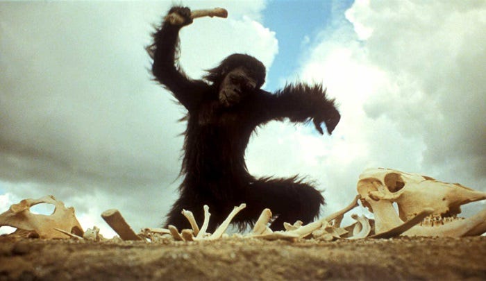 a still from 2001 showing an ape-man using a bone to smash skeletons