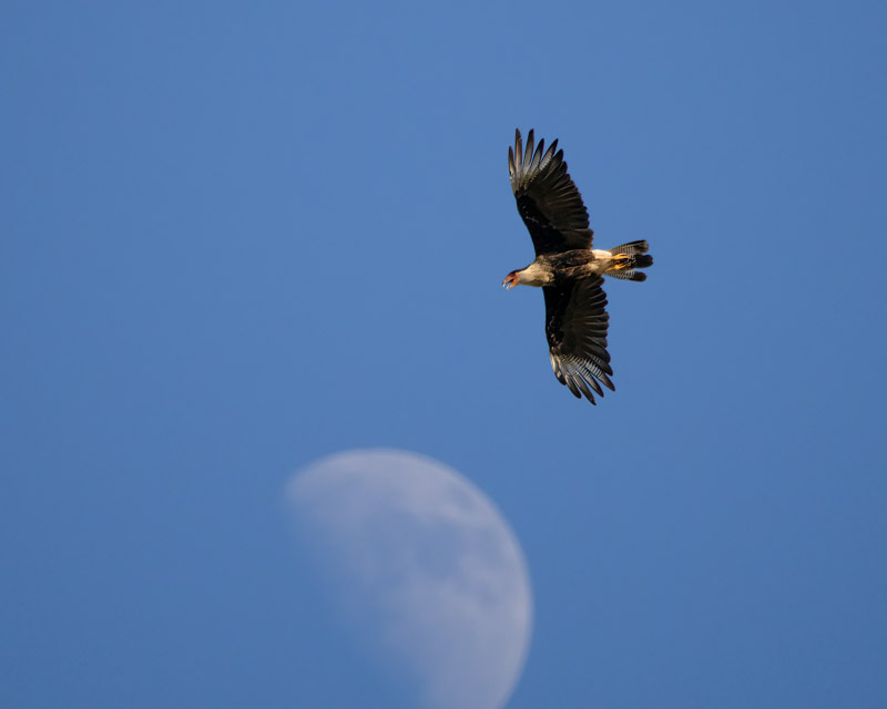 20240813-Marana-276-Edit-3.jpg