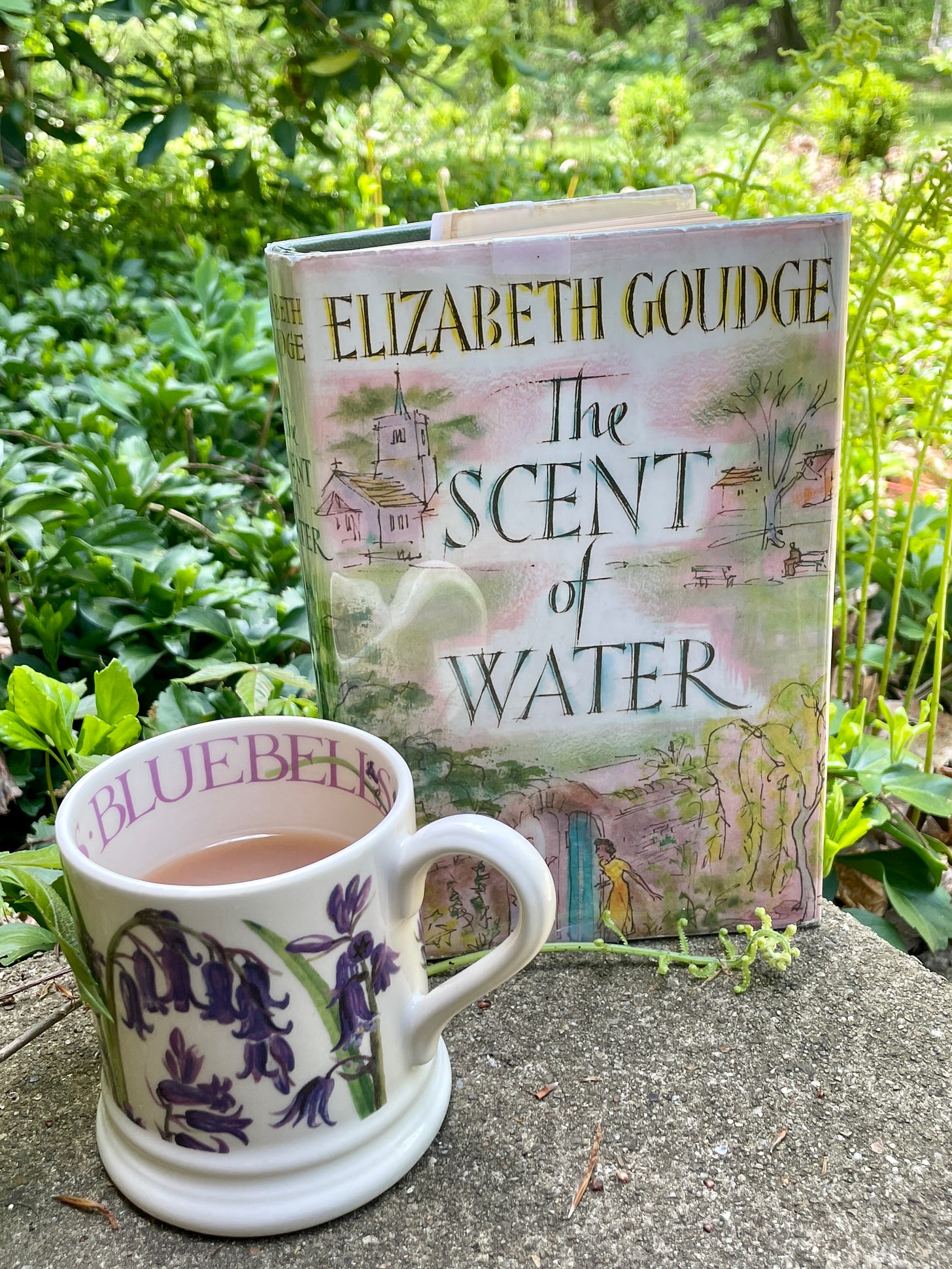 The Scent of Water by Elizabeth Goudge on my front step with my tea this morning. 