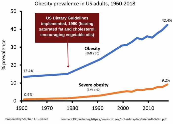 obesity prevalence us adults