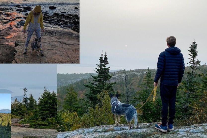 A photo collage showing Scout, a blue heeler, on leash near an ocean sunset and overlooking a hiking viewpoint