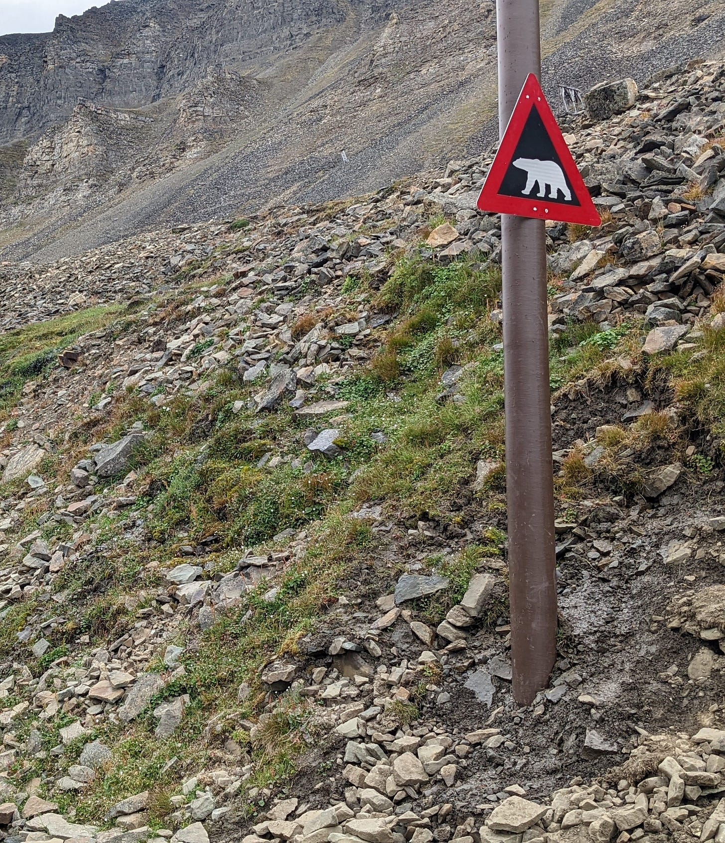Polar bear warning sign in Longyearbyen.