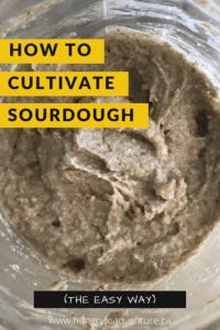 How to Cultivate Your Own Sourdough