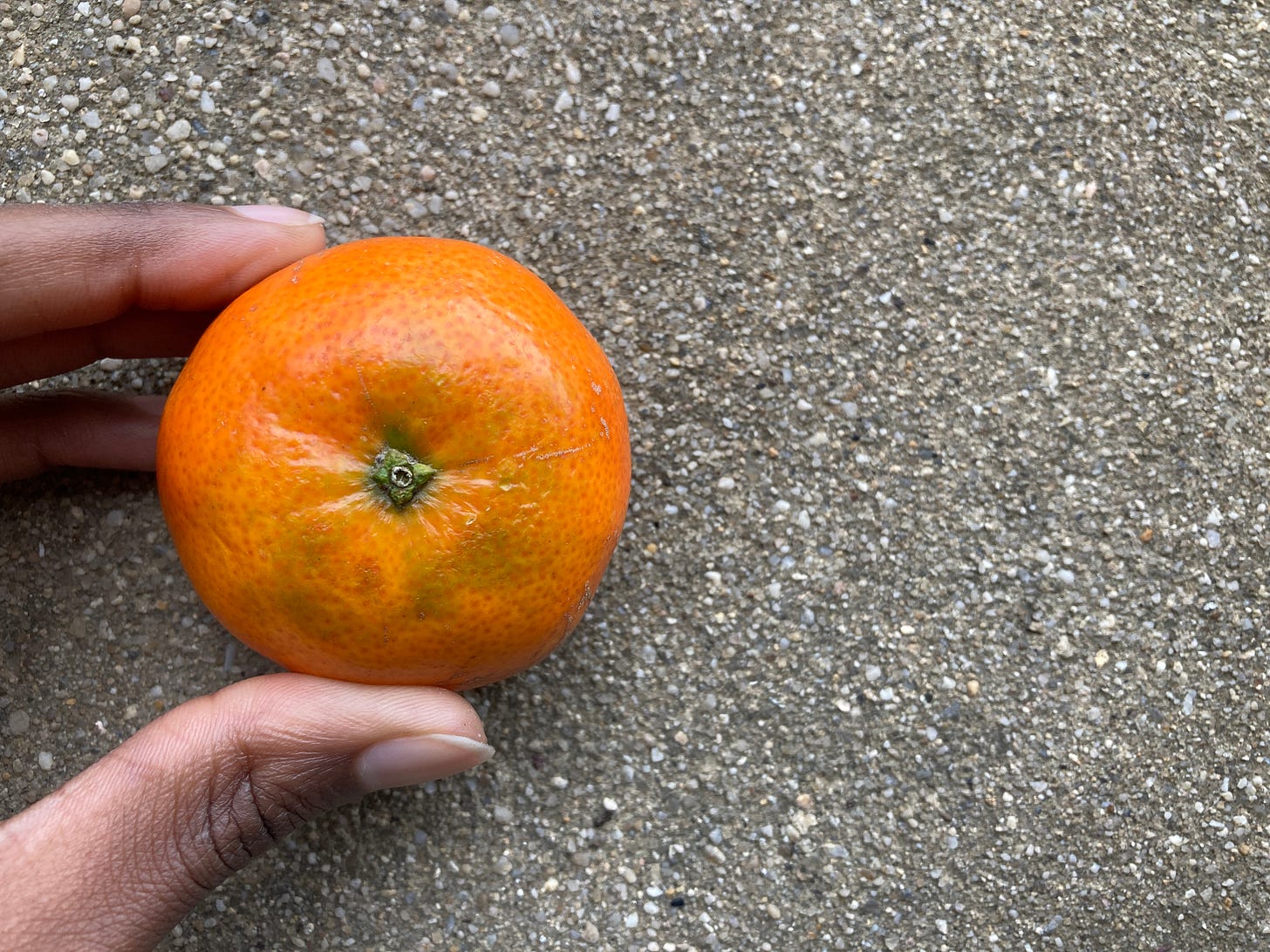 a mandarin, bright orange in color, is held between a thumb and pointer finger. the mandarin is against a granite wall. 