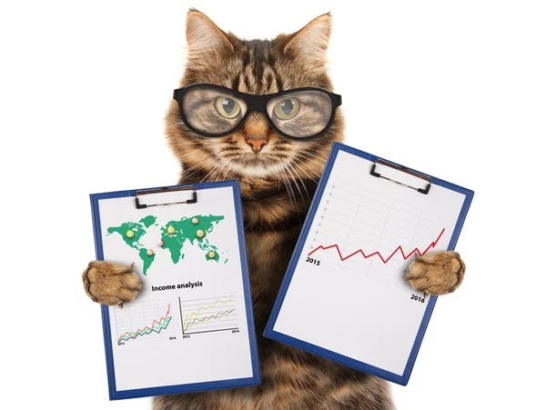 Cat finance fotos de stock, imágenes de Cat finance sin royalties |  Depositphotos