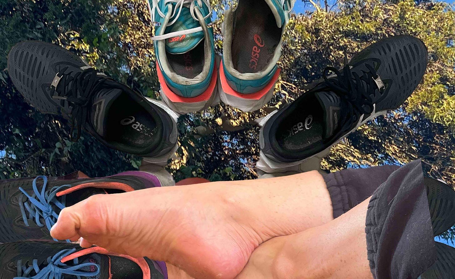 A collage of shoes and pointed toes