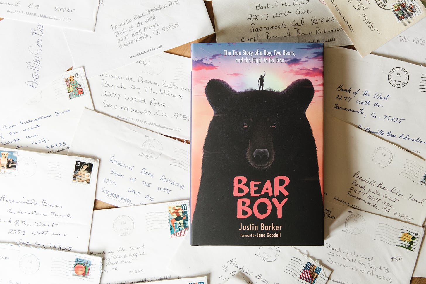 The book, Bear Boy, lying face up on top of a pile of letters