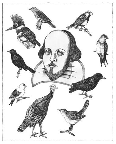 The Birds of Shakespeare | Another Bag, More Travel