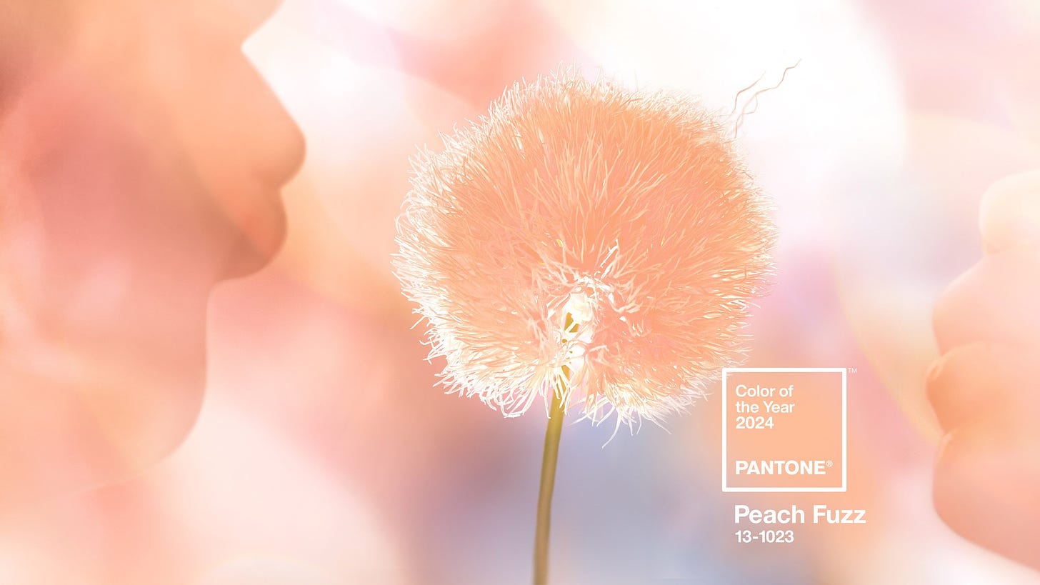 Peach Fuzz named as Pantone Colour of the Year 2024