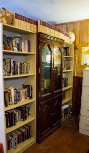 bookshelves-2