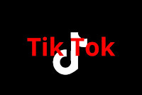 TikTok Logo