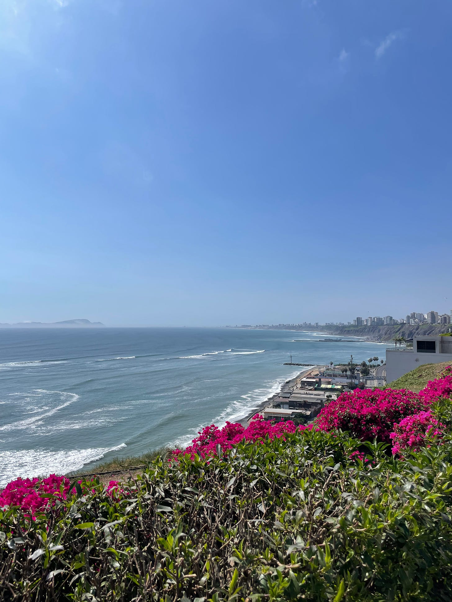 Flowered cliff overlooking Lima's glorious Pacific Ocean on a bright summer day