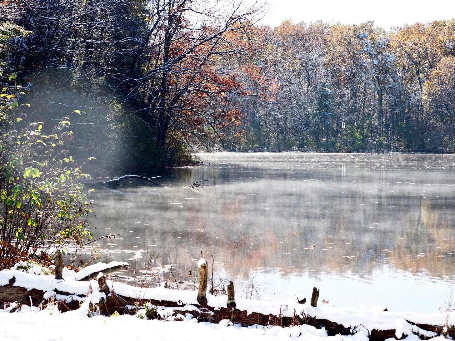 A pond on an early winter day, snow covered shore, fading autumn leaves