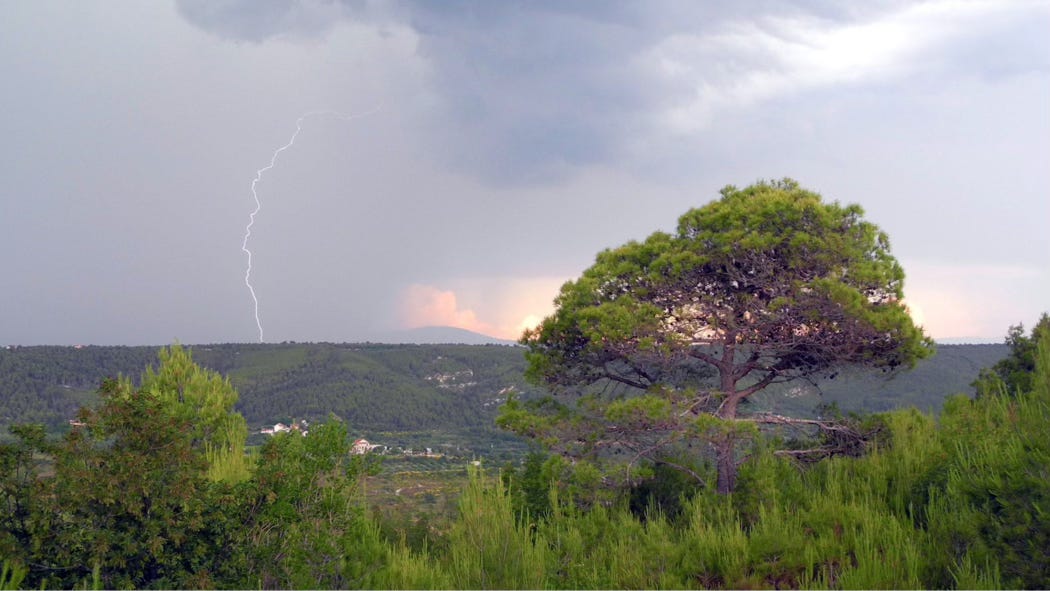 Lighting shoots from a gray, cloudy sky to strike the lush, green landscape.