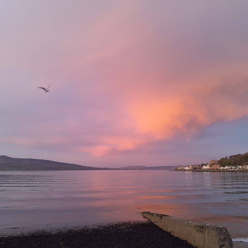 picture of a seagull gliding above the bay, the clouds are coloured by a rose pink sunset and indigo sky, these colours are reflected in the water.