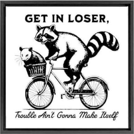 Black and white drawing of a raccoon riding a bike with a possum in the basket. Caption: Get in Loser, Trouble ain't gonna make itself.