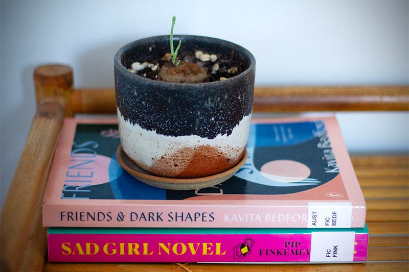 Library copies of ‘Friends & Dark Shapes’ by Kavita Bedford and ‘Sad Girl Novel’ by Pip Finkemeyer sit on a shelf, with a plant on top of them.