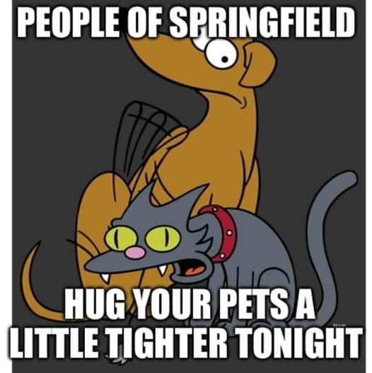 Meme warning Springfield residents to hug their pets a little tighter.