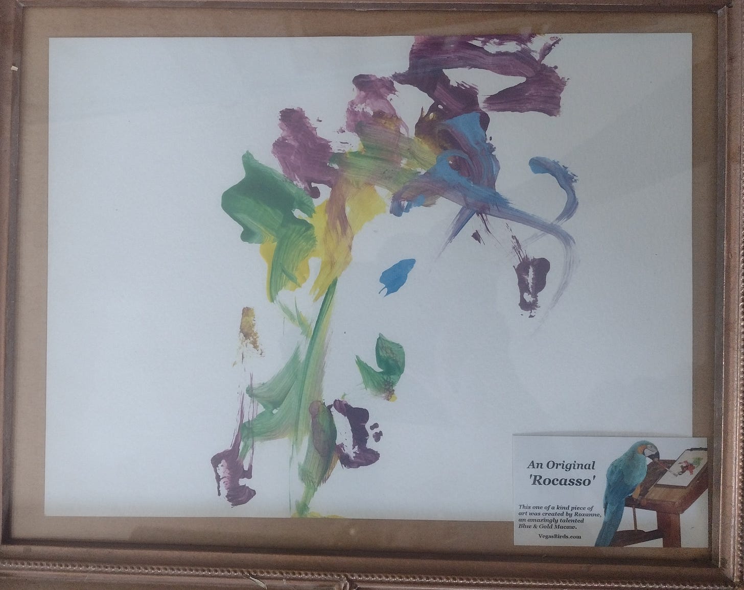 Abstract art by Roxie the Macaw Abstract art by Roxie the Macaw