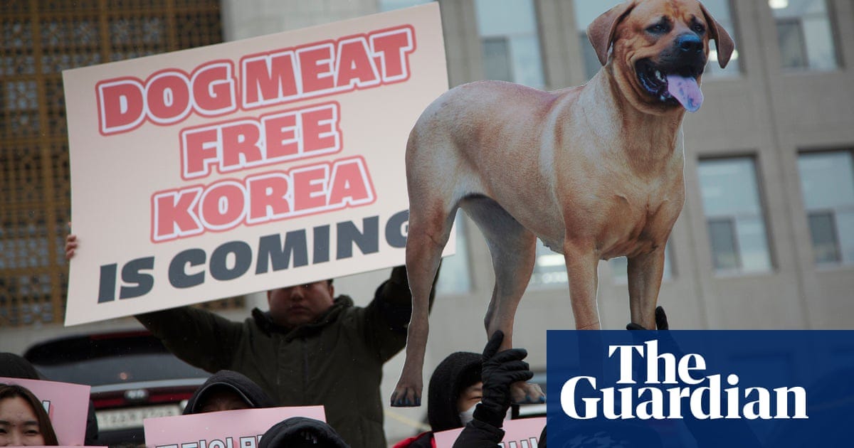 South Korea passes bill banning production and sale of dog meat