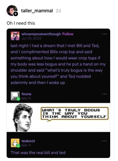 Screen capture of an online post reading: last night I had a dream that I met Bill and Ted, and I complimented Bills crop top and said something about how I would wear crop tops if my body was less bogus and he put a hand on my shoulder and said "what's truly bogus is the way you think about yourself" and Ted nodded solemnly and then I woke up. Image of Bill S. Preston from the NES Bill & Ted game with the word bubble: What's truly bogus is the way you think about yourself. Reply post that says: That was the real bill and ted