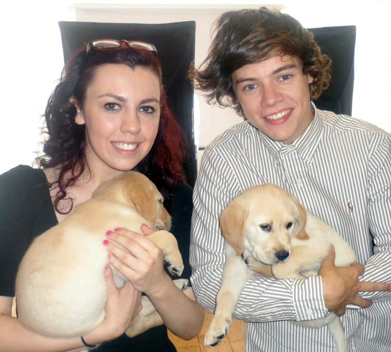 Emma with a young Harry Styles and two guide dog puppies.