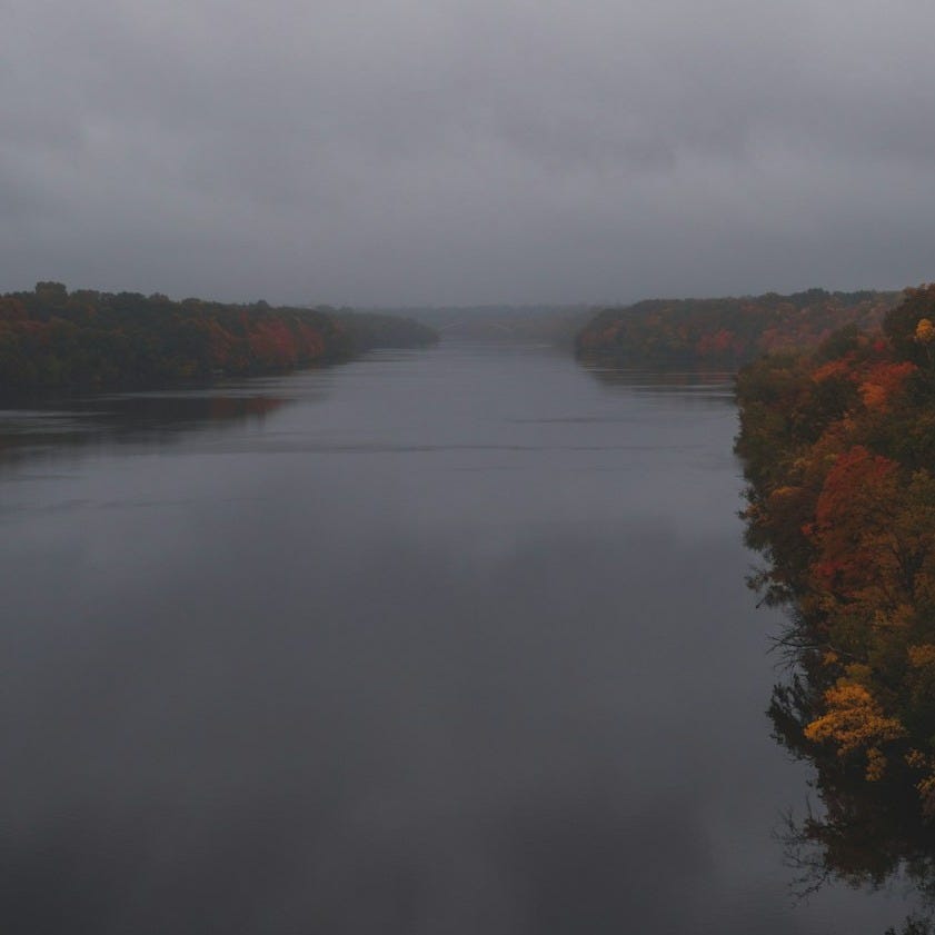 a body of water surrounded by lots of trees