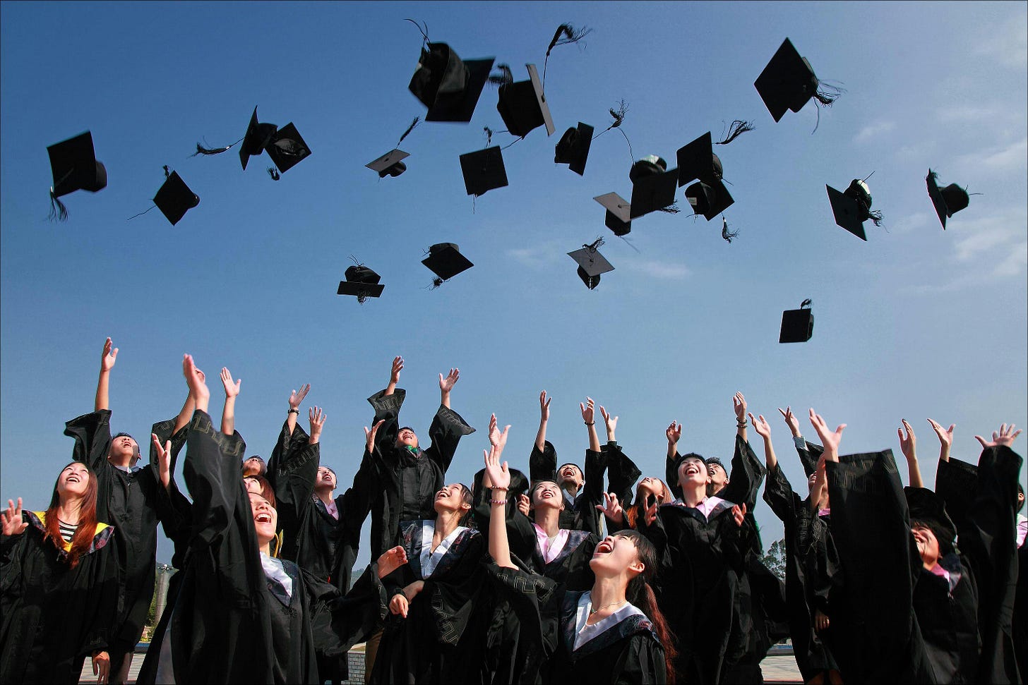 Newly Graduated People Wearing Black Academy Gowns Throwing Hats Up in the  Air · Free Stock Photo