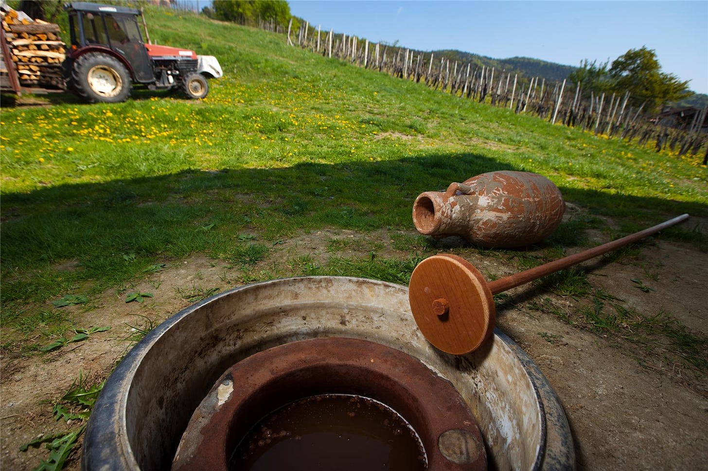 Zorjan vineyards and buried amphora - photo courtesy Maribor Tourist Board