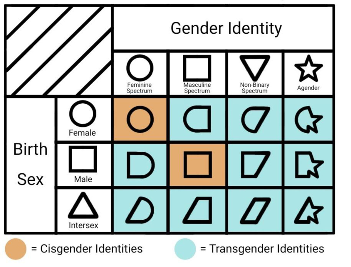 Gender Identity Inclusive Pedigree Chart for High School Biology