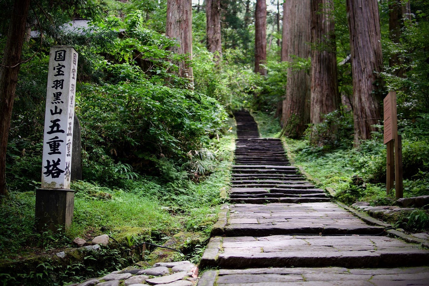 Haguro-san’s stone stairway among its deep cedar forest.
