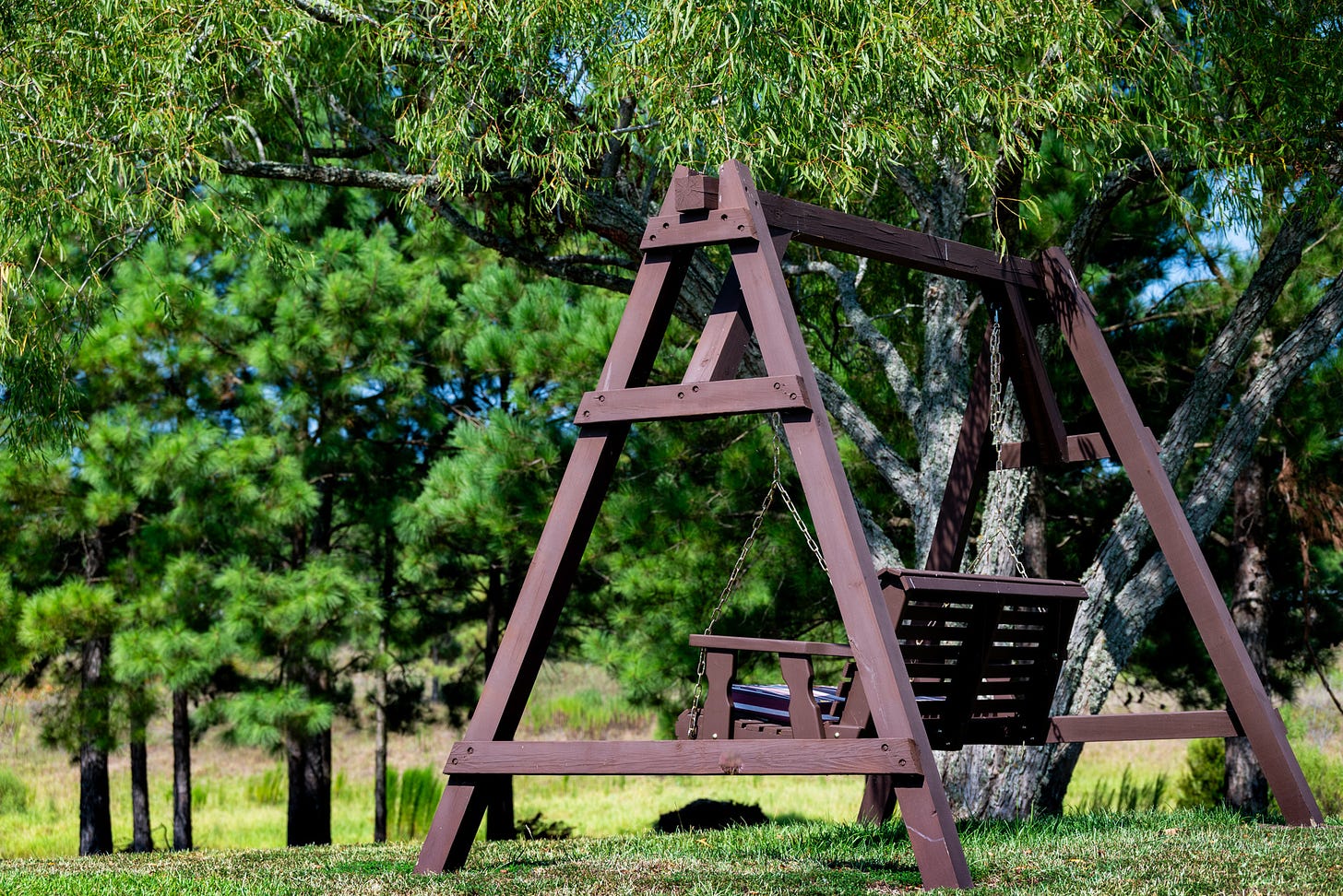 a brown wooden porch swing on an a-frame under a black willow tree  with pine trees in the background