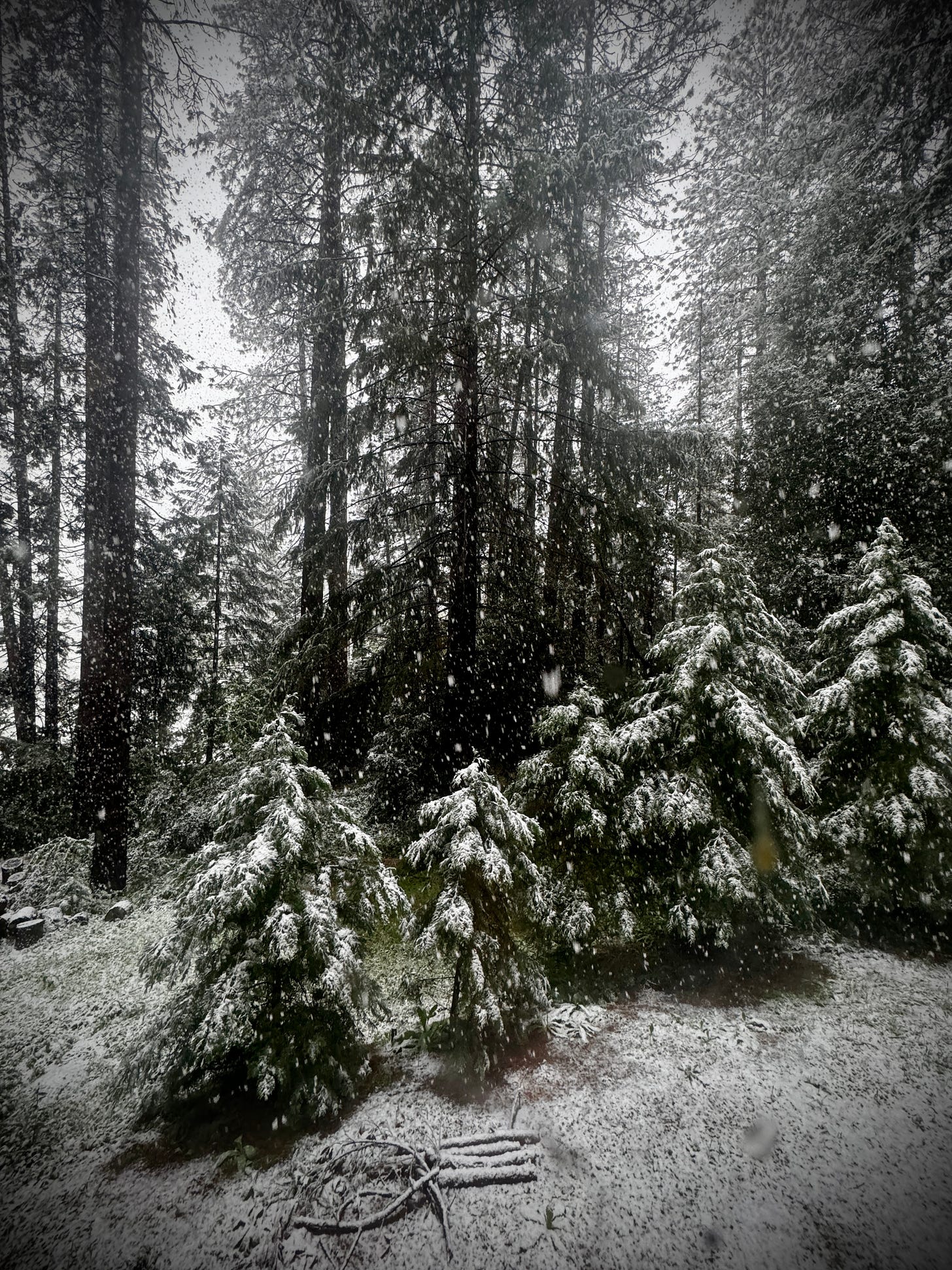 Snowy day in May in California
