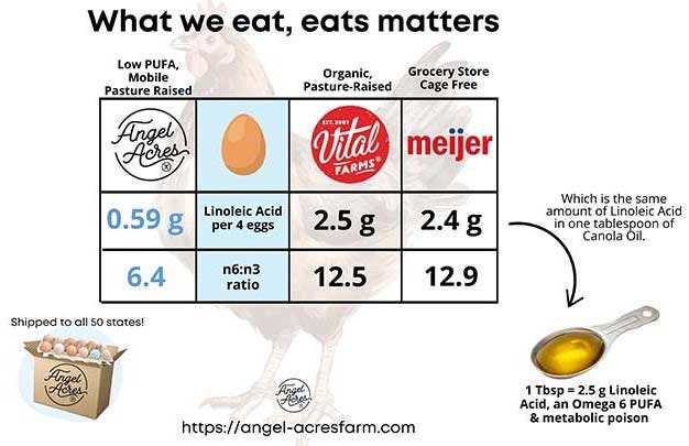 what we eat, eats matters